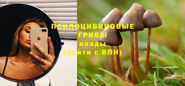 2c-b Кинешма