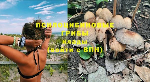 MDMA Карпинск
