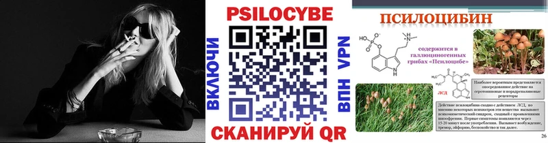 Купить закладки Тайга Галлюциногенные грибы Psilocybe